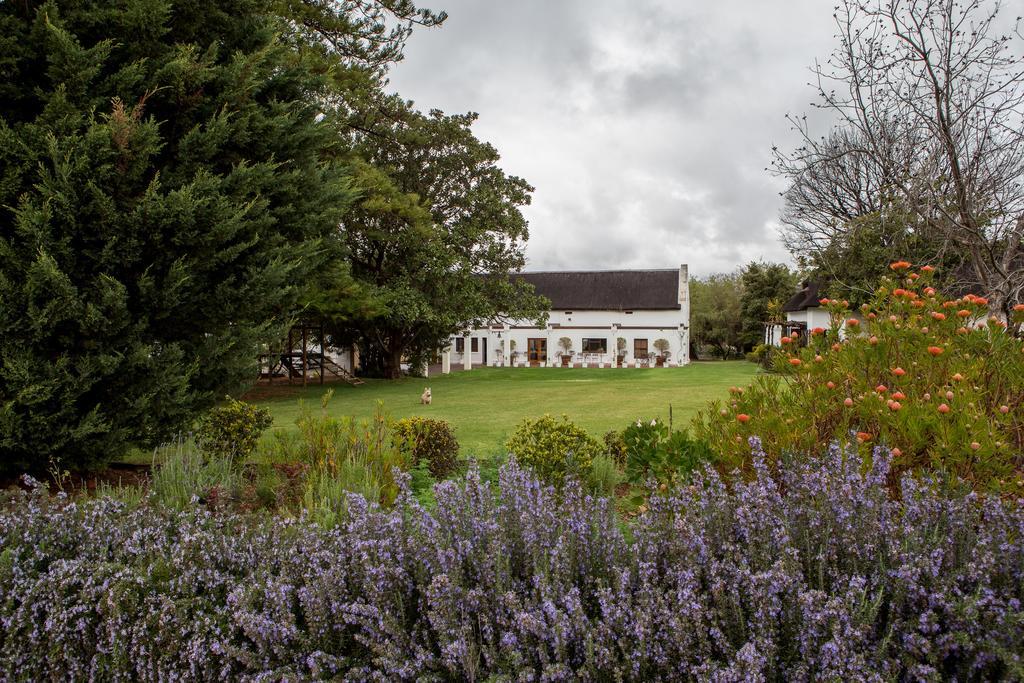 Leipzig Country House & Winery Nuy Экстерьер фото