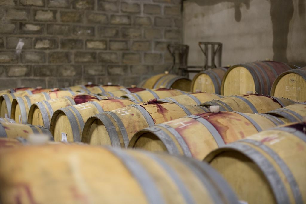 Leipzig Country House & Winery Nuy Экстерьер фото